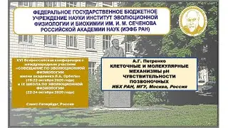 А.Г. Петренко  Клеточные и молекулярные механизмы рН чувствительности позвоночных