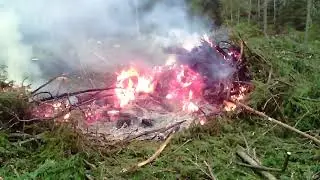 уборка делянки и вывозка