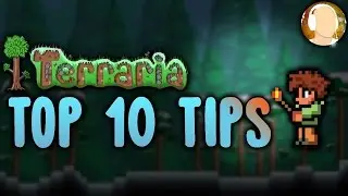 Top 10 Tips and Tricks For Any Player in Terraria | Building Houses, Exploring, and More!