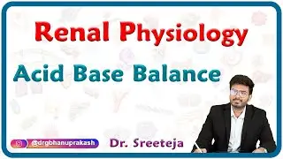 Physiology of Acid Base Balance : Renal physiology USMLE step 1