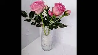 Розы из холодного фарфора, цветы которые не завянут. А вы хотели бы такие розы?
