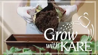 Grow with KARE: Porch Pot Dos and Donts