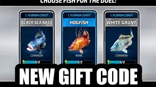 New Fishing Clash Gift Code 2021 | Fishing Clash Gift Codes February 2021 | New Fishing Clash Code