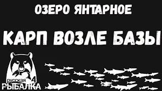 Карп неподалеку от базы. Меняем пейзаж. Озеро янтарное. Русская рыбалка 4.