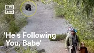 Bear Stalks Family Along Hiking Trail 😳