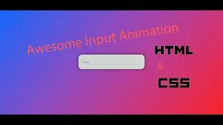 Input Animation using HTML & CSS - CodeWais.