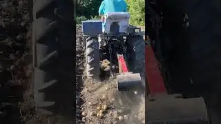 Самая простая копалка для картофеля! #трактор #work