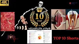 Top 10 Medical Arts ASMR Shorts - 3D Medical Animations