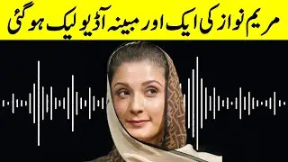 Another Alleged Audio of Maryam Nawaz Leaks | TE2L