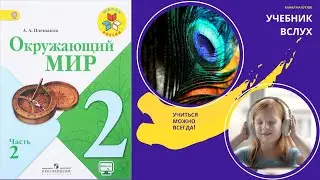 Окружающий мир 2 класс ч.2, тема урока Строение тела человека, с.4-7, Школа России.