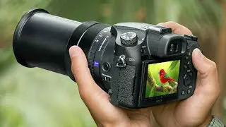 Best Zoom Cameras of 2024 - Top Superzoom Cameras 2024