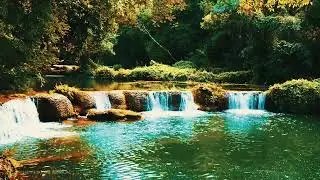 Успокаивающие Пение Птиц и Звуки Реки с Водопадом  Щебетание Птиц ✦ Relax ✦ Sounds Of The Forest