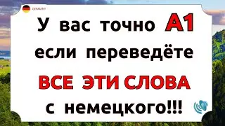 Сможете ПЕРЕВЕСТИ ЭТИ СЛОВА на немецкий? Самые ВАЖНЫЕ СЛОВА для разговора. Немецкий для начинающих