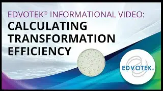 Edvotek Informational Video: Calculating Transformation Efficiency