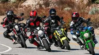 125cc | Honda Grom vs. Kawasaki Z125 Pro vs. Kymco K-Pipe 125 vs. SSR Razkull 125