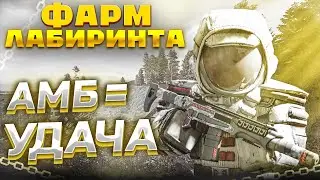 Взял АМБ и поймал +100 к удаче. сталкрафт/stalcraft