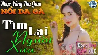 10 -11 TÌM LẠI NGƯỜI XƯA - Nhạc Vàng Xưa CHỌN LỌC NỔI DA GÀ Khi Nghe ☘️ THƯ GIÃN ĐONG ĐẦY CẢM XÚC