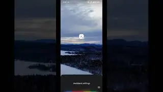 Pixel 6: Turn on Quick Phrases