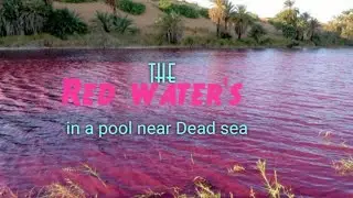 The Red Water mystery in a pool near Dead sea