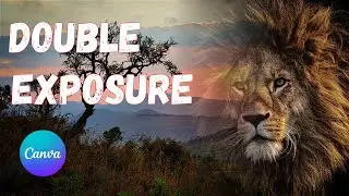 Double Exposure Effect in Canva – Tutorial – Tips – Tricks