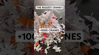 THE BIGGEST ORIGAMI CRANE TUTORIAL | DIY FULL-SIZED ORIGAMI CRANE STEP BY STEP 1000 ORIGAMI CRANES