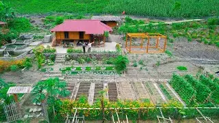 Heavy rain and flood - SANG VY worshiping ancestors, annual customs - Planting trees, gardening