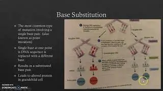 Academic Studio Science Tutorial - Microbiology Mutations