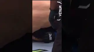Хамзат Чимаев vs Кевин Холланд.