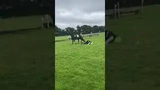 Person Attempting Trick Falls Off Horse and Faceplants Into Ground-1239695