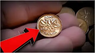 EPIC PENNY SCORE!! COIN ROLL HUNTING CANADIAN PENNIES!!!