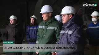 Атом электр станциясы мәселесі талқыланды