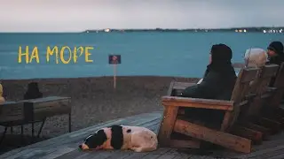 УДИВИТЕЛЬНАЯ ПОЕЗДКА