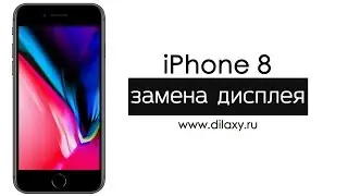 Замена экрана iPhone 8. Разборка iPhone 8