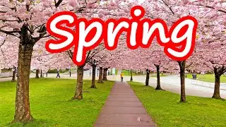 Spring season, Vancouver BC, Canada