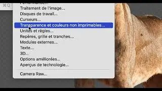 PART 18 du cours Adobe Photoshop 2025 sur les techniques traditionnelles et les nouvelles techniques