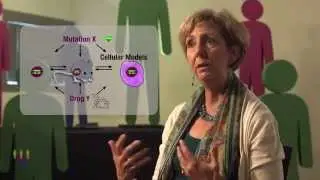 Patient-derived xenograft models