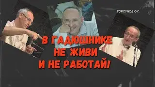 В гадюшнике не живи и не работай! Торсунов лекции