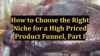 How to Choose the Right Niche for a High Priced Product Funnel, Part I