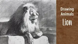 Animal Drawing A Lion using Charcoal