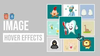 CSS Image Hover Effects