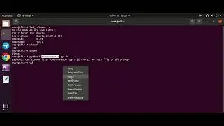 I will Install & Configure The Harvestor On Ubuntu