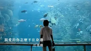 江美琪 Maggie Chiang - 親愛的你怎麼不在身邊 Why Aren't You With Me, My Love (官方完整版MV)