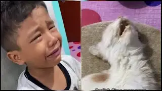 😭BIKIN NYESEK,, KEHILANGAN KUCING KESAYANGAN.. #VIRALTIKTOK #VIDEOTIKTOK #VIDEOKUCING