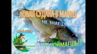 ЛОВЛЯ СУДАКА В МАРТЕ! НЕ ЗНАЕШЬ КАК? НЕ ПОЙМАЕШЬ!!!