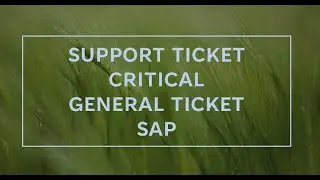 sap support ticket | Internal Error: Table Format | sap error