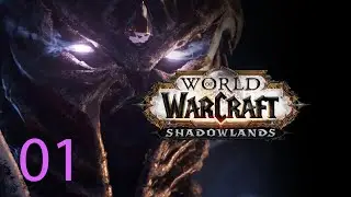 Прохождение WoW shadowland #1 РАСКОЛОТОЕ НЕБО