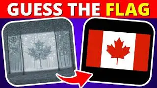 Guess the Hidden FLAG by ILLUSION 🌍🚩 Easy to Hard Levels | Quiz