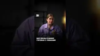 Мэр Пензы сравнил горожан с собаками