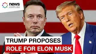 Trump takes up Elon Musk's proposal, offers him job to lead commission