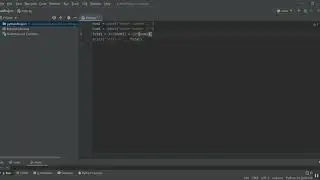 Convert string to Integer using Python Program